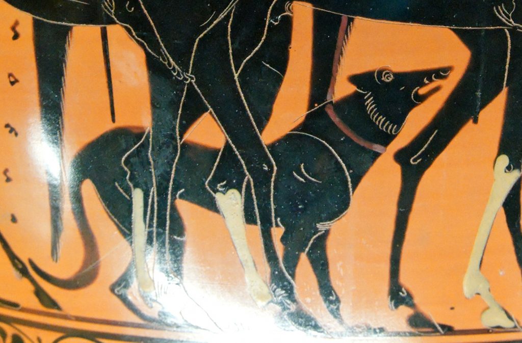 A dog on an an Attic black-figure hydria from Ancient Greece