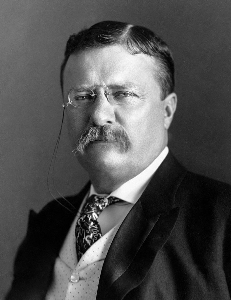 Portrait of President Theodore Roosevelt