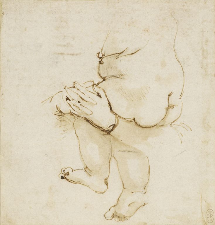 Baby by Leonardo da Vinci