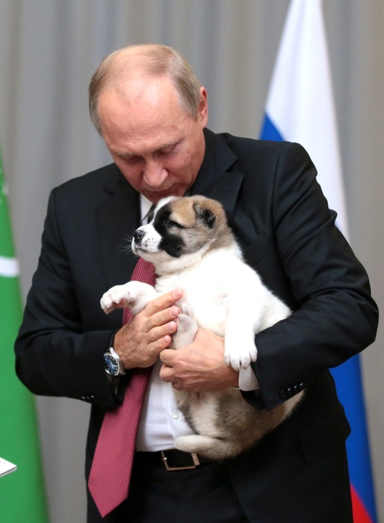President of Turkmenistan Gurbanguly Berdimuhamedov presented Vladimir Putin with an Alabai puppy named Verny