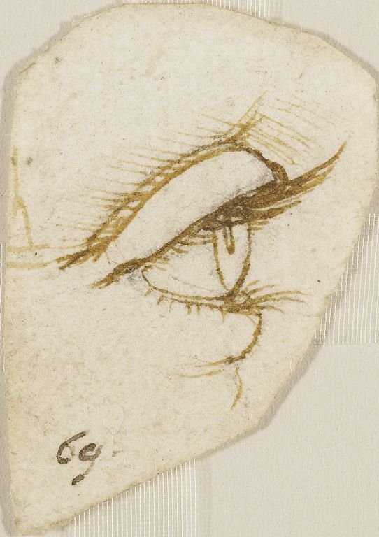 Eye by Leonardo da Vinci