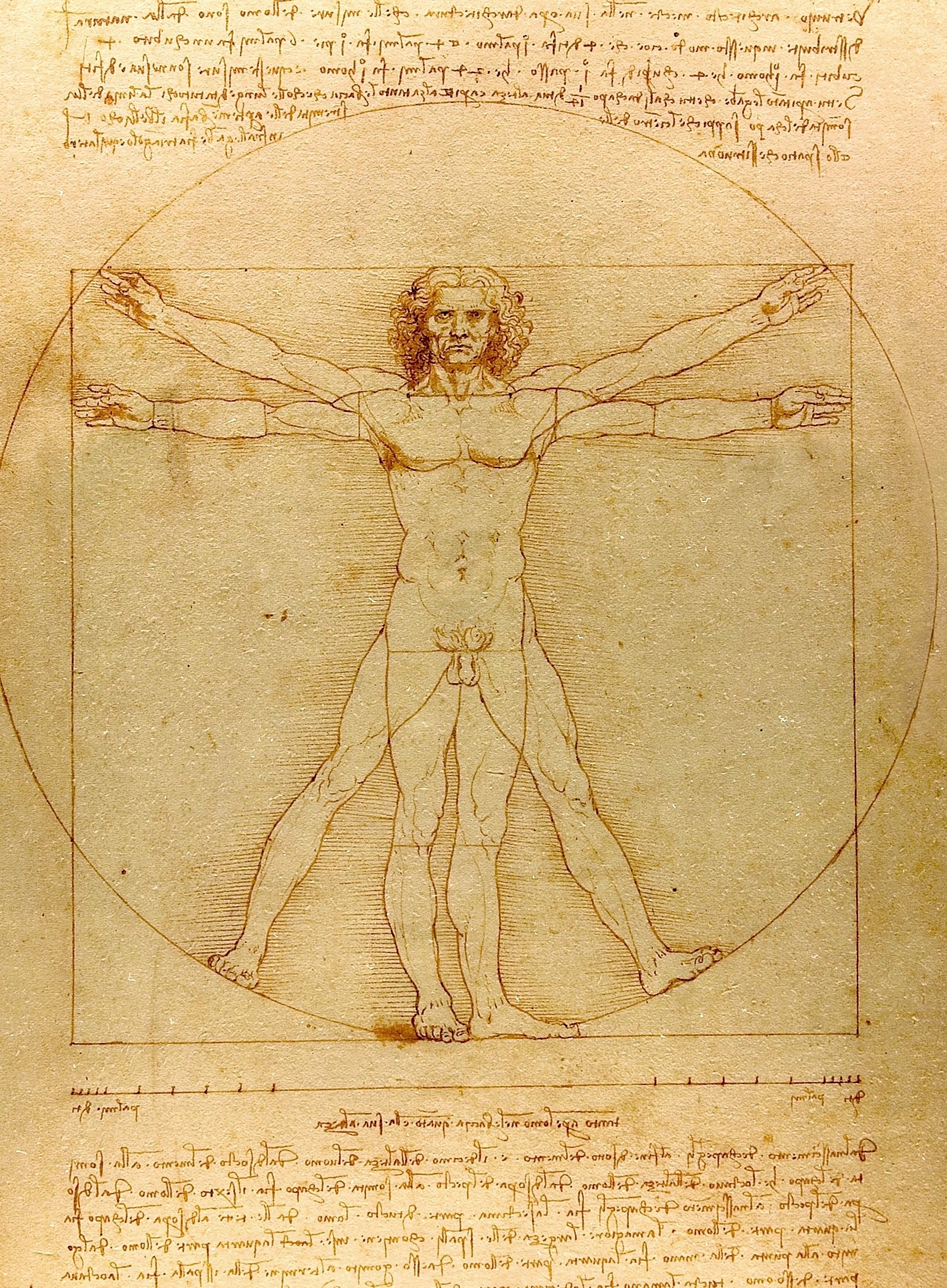 Vitruvian Man