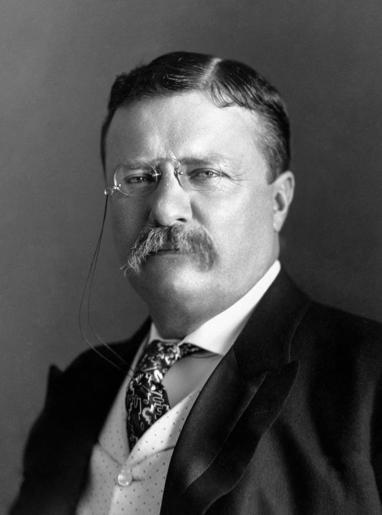 Theodore Roosevelt Presidential portrait