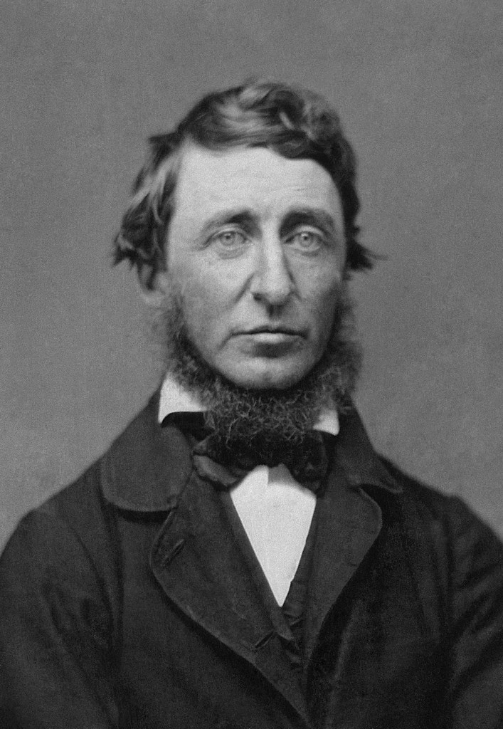 Portrait photograph from a ninth-plate daguerreotype of Henry David Thoreau. Calvin R. Greene was a Thoreau “disciple” who lived in Rochester, Michigan, and who first began corresponding with Thoreau in January 1856. When Greene asked for a photographic image of the author, Thoreau initially replied: “You may rely on it that you have the best of me in my books, and that I am not worth seeing personally – the stuttering, blundering, clodhopper that I am.” Yet Greene repeated his request and sent money for the sitting. Thoreau must have kept this commitment to his fan in the back of his mind for the next several months. On June 18, 1856, during a trip to Worcester, Massachusetts, Henry Thoreau visited the Daguerrean Palace of Benjamin D. Maxham at 16 Harrington Corner and had three daguerreotypes taken for fifty cents each. He gave two of the prints to his Worcester friends and hosts, H.G.O. Blake and Theophilius Brown. The third he sent to Calvin Greene in Michigan. “While in Worcester this week I obtained the accompanying daguerreotype – which my friends think is pretty good – though better looking than I,” Thoreau wrote.