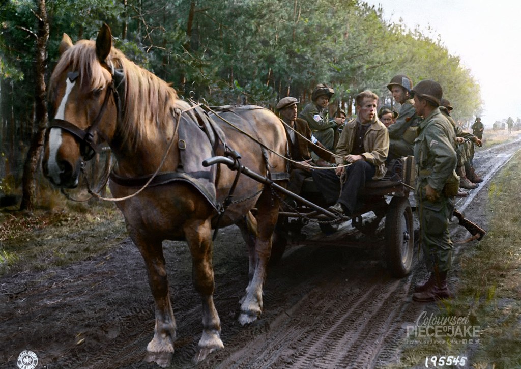 Corporal Jaap W. Bothe of the 101st Airborne Division gives advice to local Dutch resistance members and farmers Toon Vervoort and Driek Eijkemans shortly after a German mortar attack, September 1944. World War 2 in Color thanks to the work of Colourised Piece of Jake