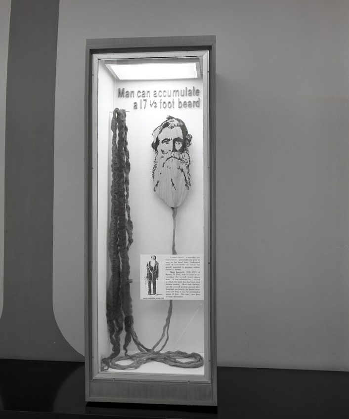 Exhibit featuring beard of Hans Langseth showing his 17.5 feet beard at the National Museum of Natural History in 1971.